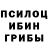Галлюциногенные грибы мухоморы Angie Schermerhorn