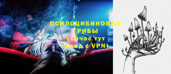 мдпв Армянск