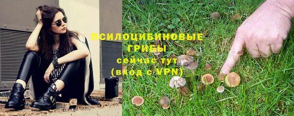 не бодяженный Арсеньев