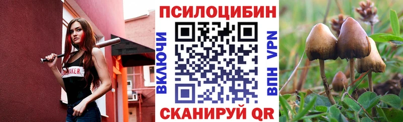 Псилоцибиновые грибы GOLDEN TEACHER  Судак 